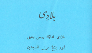 Read more about the article قصيدة بلادي