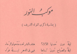 Read more about the article قصيدة موكب النور